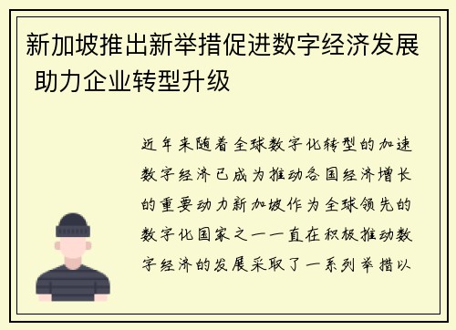 新加坡推出新举措促进数字经济发展 助力企业转型升级